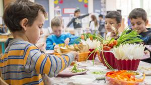 צילום: גל דרן