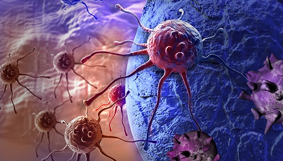 כנס בינלאומי בנושא  Tumor Microenvironment