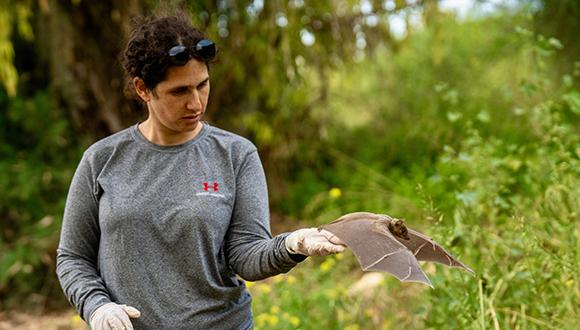 עדי רחום ועטלף פירות נועז (צילום: יובל ברקאי)
