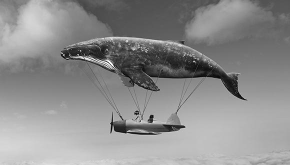 יום פתוח לתארים מתקדמים ולתואר ראשון יום פתוח לתארים מתקדמים ולתואר ראשון