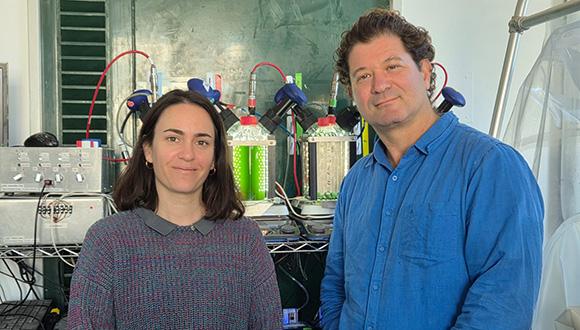 האצות שמייצרות אנרגיה וחלבון בקנה מידה תעשייתי