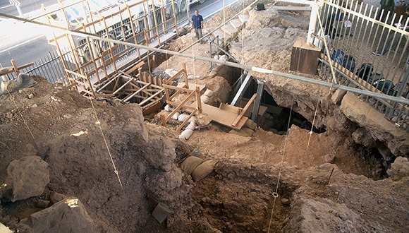 תגלית קולינרית במערת קסם: חוקרים מאוניברסיטת תל אביב מצאו עדויות לאכילת צבים לפני 400 אלף שנה