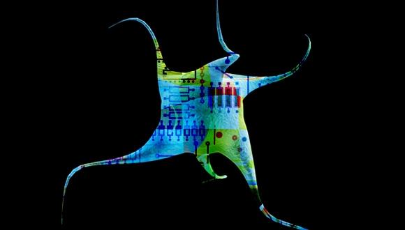 יום עיון: Medical Nanosystems: New Solutions to Stubborn Challenges