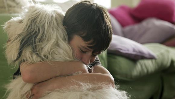 יום עיון: "בעלי חיים: היבטים פילוסופיים, פוליטיים ותרבותיים" יום עיון: "בעלי חיים: היבטים פילוסופיים, פוליטיים ותרבותיים"