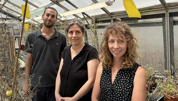 תגלית מרעישה באוניברסיטת תל אביב: עדות ראשונה במדע לאינטראקציה קולית בין צמחים לבעליי חיים