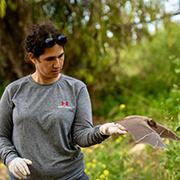 עדי רחום ועטלף פירות נועז (צילום: יובל ברקאי) עדי רחום ועטלף פירות נועז (צילום: יובל ברקאי)