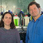 האצות שמייצרות אנרגיה וחלבון בקנה מידה תעשייתי